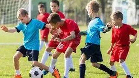 开云体育官网登录入口 产品 110647 o7d