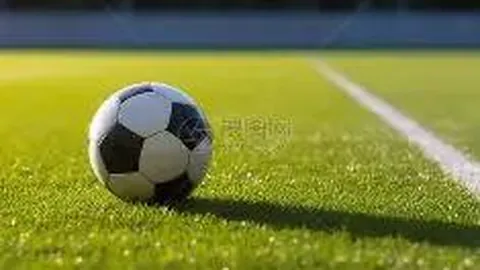 开云体育官网登录入口 资讯 131458 dlo