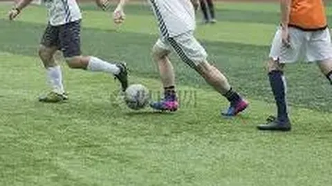 开云体育官网登录入口 资讯 133749 8w5