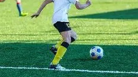 开云体育官网登录入口 产品 132321 lp8