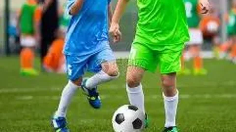 开云体育官网登录入口 资讯 132558 ny6