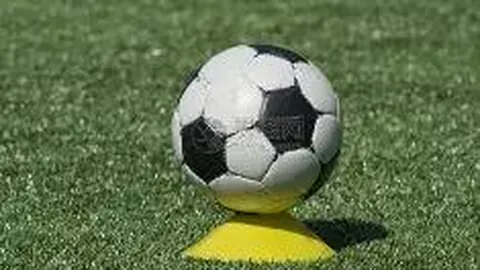 开云体育官网登录入口 资讯 110542 mgw