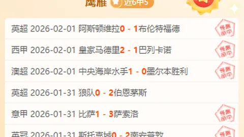 南墨尔本澳维超早场分析：专家推荐及质合前区十码