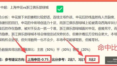 开云体育官网登录入口 133847 1